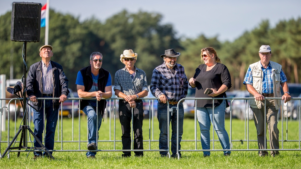 Lierop Fokpaardendag 2016 (96).jpg - Lierop Fokpaardendag 2016